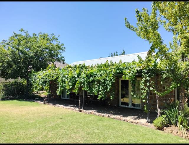 86HA FARM FOR SALE IN CERES RURAL
